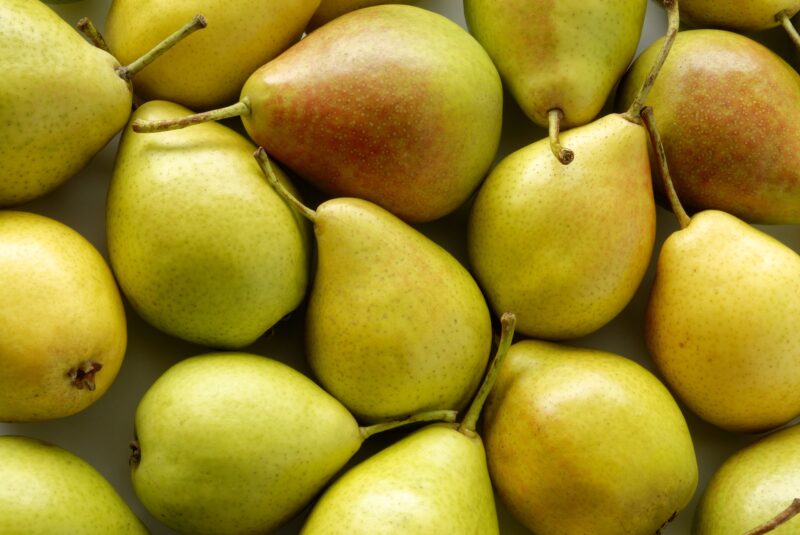 Heap of ripe sweet pears, the perfect fall fruit