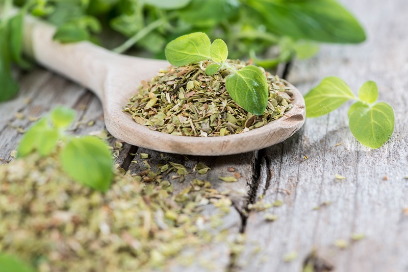 fresh and dried oregano on a wooden spoon fresh herbs
